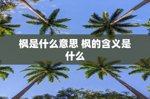 枫是什么意思 枫的含义是什么