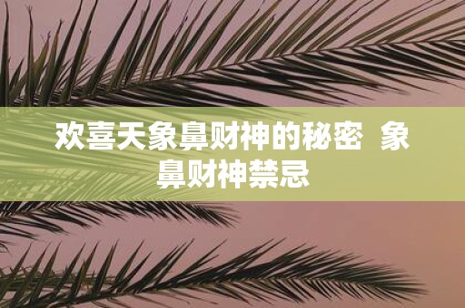 欢喜天象鼻财神的秘密 象鼻财神禁忌