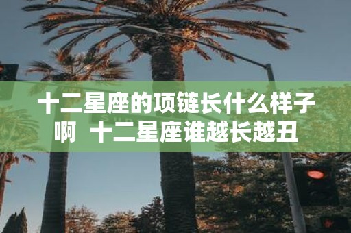 十二星座的项链长什么样子啊 十二星座谁越长越丑