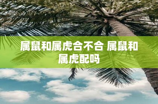 属鼠和属虎合不合 属鼠和属虎配吗