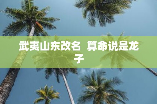 武夷山东改名 算命说是龙子