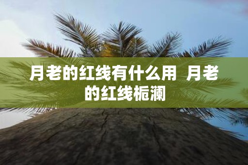 月老的红线有什么用 月老的红线栀澜