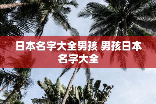 日本名字大全男孩 男孩日本名字大全