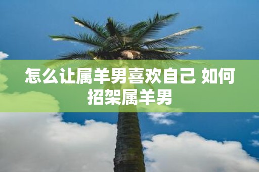 怎么让属羊男喜欢自己 如何招架属羊男