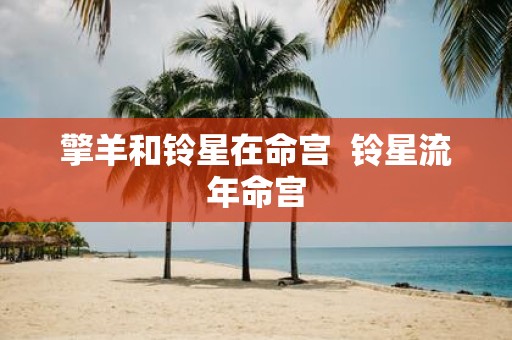 擎羊和铃星在命宫 铃星流年命宫