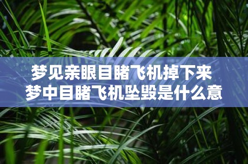 梦见亲眼目睹飞机掉下来 梦中目睹飞机坠毁是什么意思