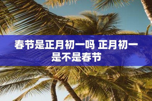 春节是正月初一吗 正月初一是不是春节