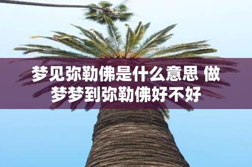 梦见弥勒佛是什么意思 做梦梦到弥勒佛好不好