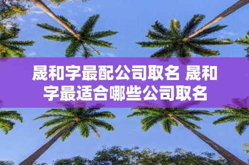 晟和字最配公司取名 晟和字最适合哪些公司取名