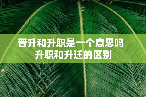 晋升和升职是一个意思吗 升职和升迁的区别