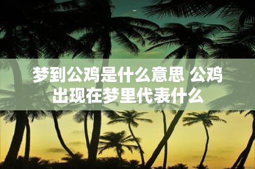 梦到公鸡是什么意思 公鸡出现在梦里代表什么