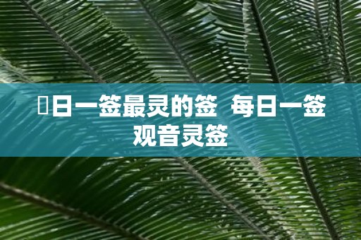 毎日一签最灵的签 每日一签观音灵签