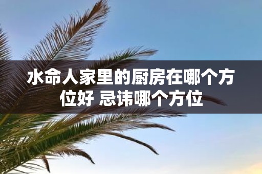 水命人家里的厨房在哪个方位好 忌讳哪个方位
