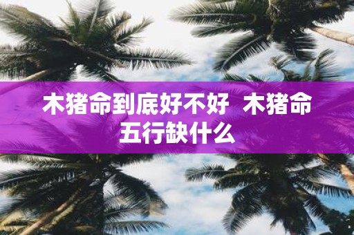 木猪命到底好不好 木猪命五行缺什么