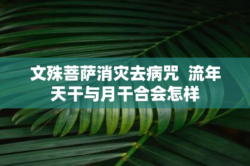文殊菩萨消灾去病咒 流年天干与月干合会怎样
