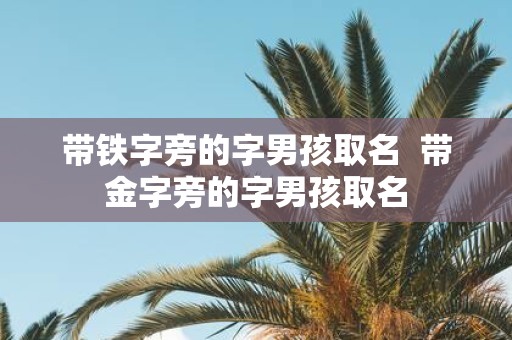 带铁字旁的字男孩取名 带金字旁的字男孩取名