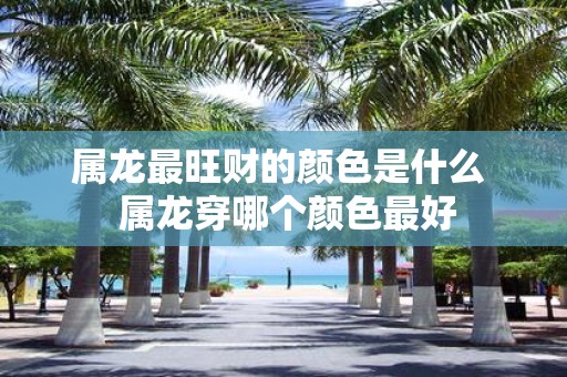 属龙最旺财的颜色是什么 属龙穿哪个颜色最好