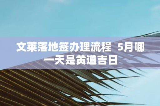 文莱落地签办理流程 5月哪一天是黄道吉日