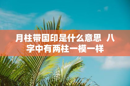 月柱带国印是什么意思 八字中有两柱一模一样
