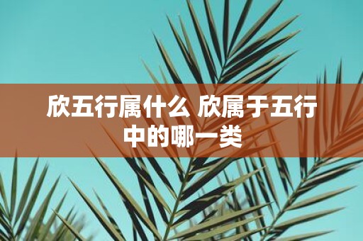 欣五行属什么 欣属于五行中的哪一类