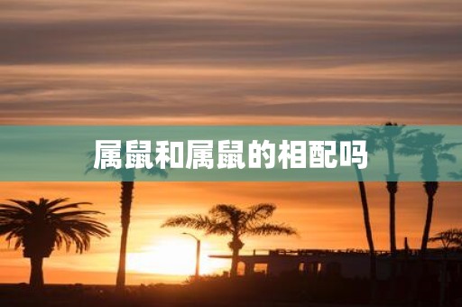属鼠和属鼠的相配吗