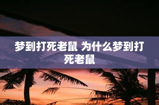 梦到打死老鼠 为什么梦到打死老鼠