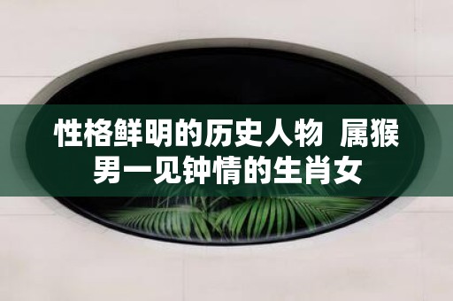 性格鲜明的历史人物 属猴男一见钟情的生肖女