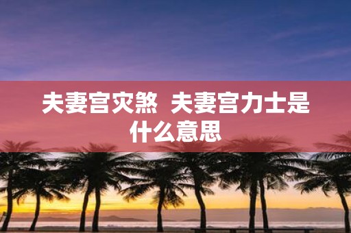 夫妻宫灾煞 夫妻宫力士是什么意思