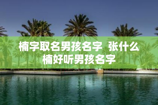 楠字取名男孩名字 张什么楠好听男孩名字