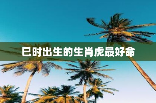 巳时出生的生肖虎最好命
