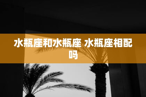 水瓶座和水瓶座 水瓶座相配吗