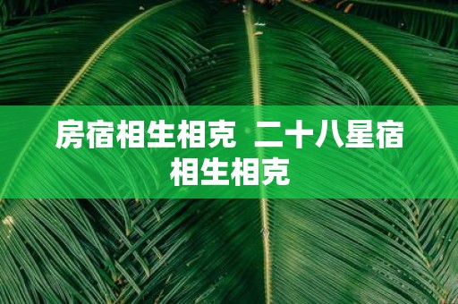 房宿相生相克 二十八星宿相生相克