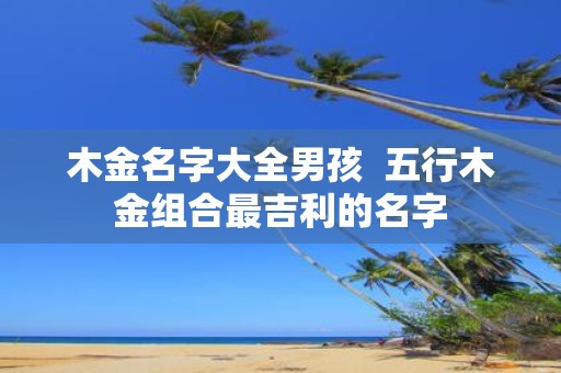 木金名字大全男孩 五行木金组合最吉利的名字