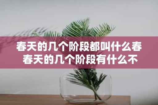 春天的几个阶段都叫什么春 春天的几个阶段有什么不同称呼