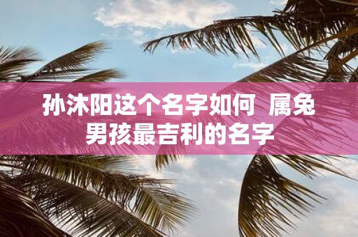 孙沐阳这个名字如何 属兔男孩最吉利的名字
