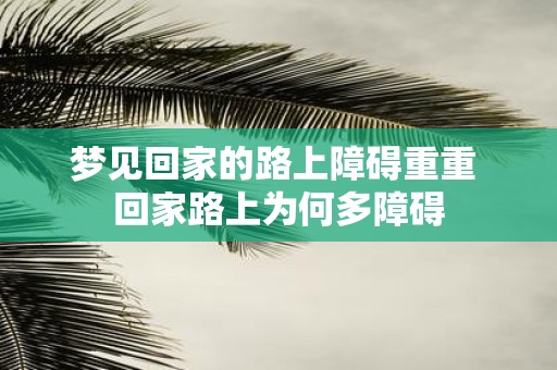 梦见回家的路上障碍重重 回家路上为何多障碍