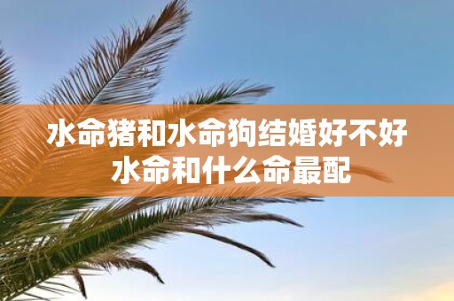 水命猪和水命狗结婚好不好 水命和什么命最配