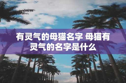 有灵气的母猫名字 母猫有灵气的名字是什么