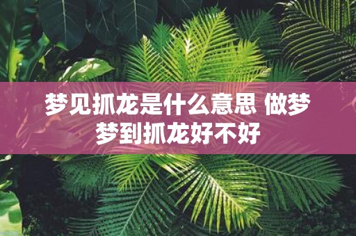 梦见抓龙是什么意思 做梦梦到抓龙好不好