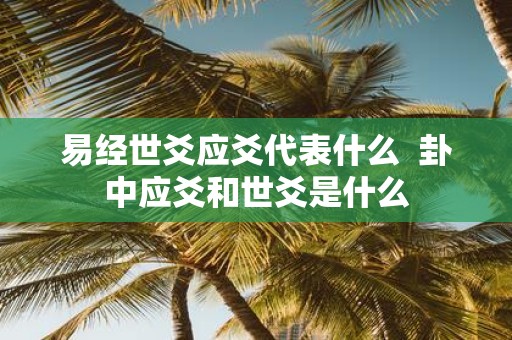 易经世爻应爻代表什么 卦中应爻和世爻是什么