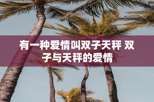 有一种爱情叫双子天秤 双子与天秤的爱情