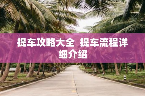 提车攻略大全 提车流程详细介绍