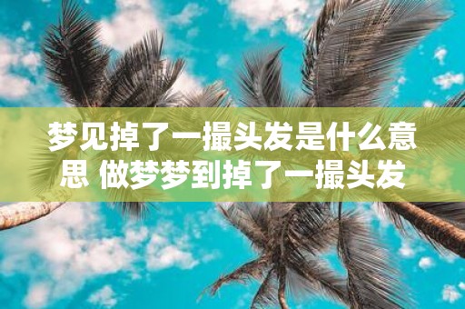 梦见掉了一撮头发是什么意思 做梦梦到掉了一撮头发好不好