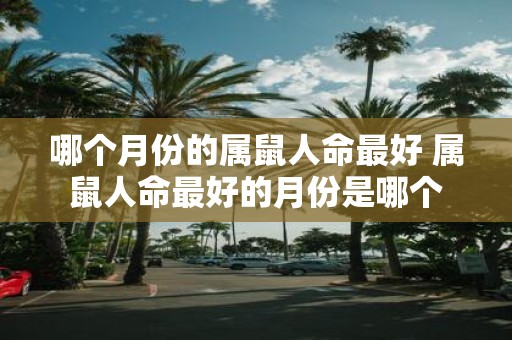 哪个月份的属鼠人命最好 属鼠人命最好的月份是哪个