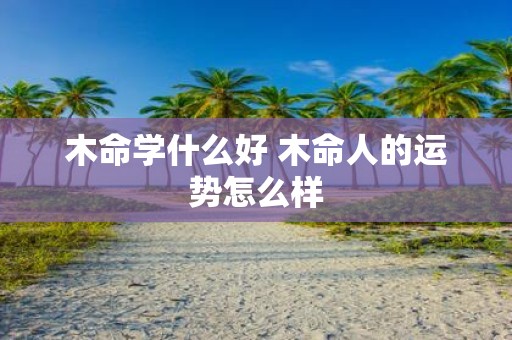 木命学什么好 木命人的运势怎么样