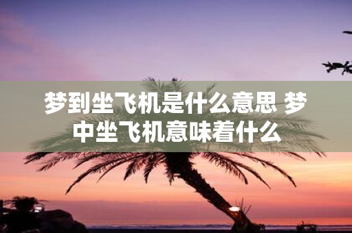 梦到坐飞机是什么意思 梦中坐飞机意味着什么