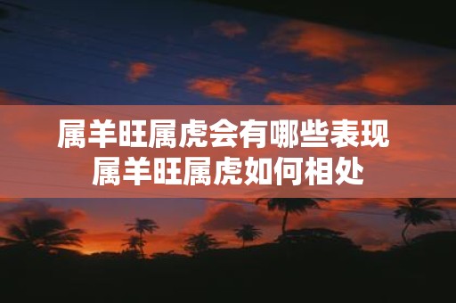 属羊旺属虎会有哪些表现 属羊旺属虎如何相处