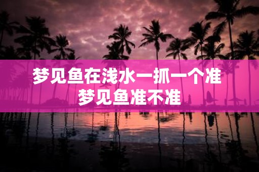 梦见鱼在浅水一抓一个准 梦见鱼准不准
