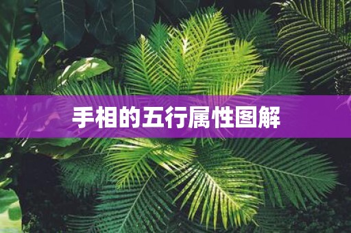 手相的五行属性图解