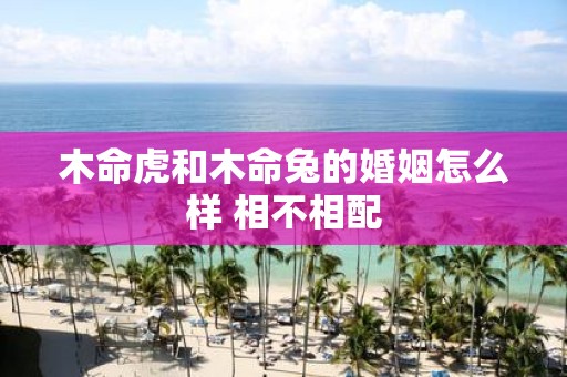 木命虎和木命兔的婚姻怎么样 相不相配